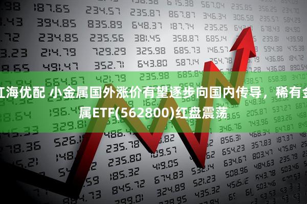 红海优配 小金属国外涨价有望逐步向国内传导，稀有金属ETF(562800)红盘震荡