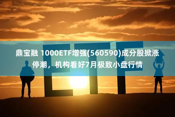 鼎宝融 1000ETF增强(560590)成分股掀涨停潮，机构看好7月极致小盘行情