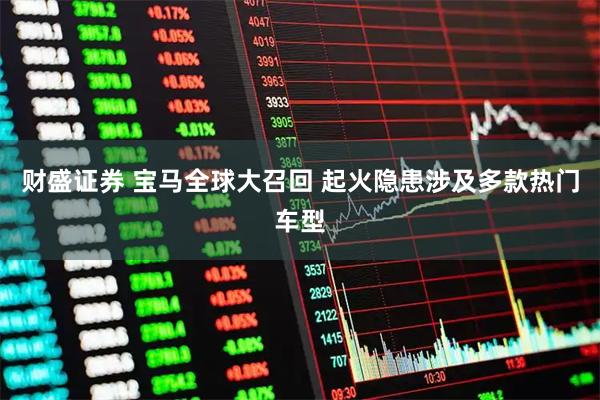 财盛证券 宝马全球大召回 起火隐患涉及多款热门车型